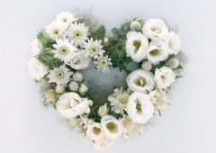 5.12 | 國際護(hù)士節(jié)，預(yù)祝5.14 | 母親節(jié)快樂！
