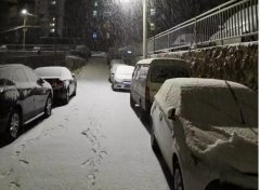 青島！大雪！大愛！