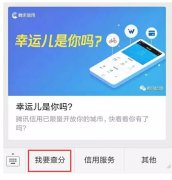騰訊信用分全國公測，查了一下之后懵逼了。。