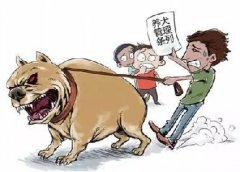 青島10月份一大波勁爆消息，你知道嗎？