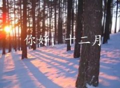 抓住2016年的尾巴給自己充充電！12月，加油！