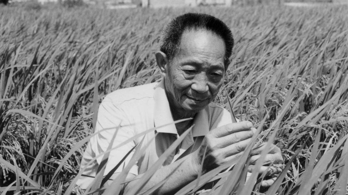 沉痛哀悼！袁隆平院士逝世